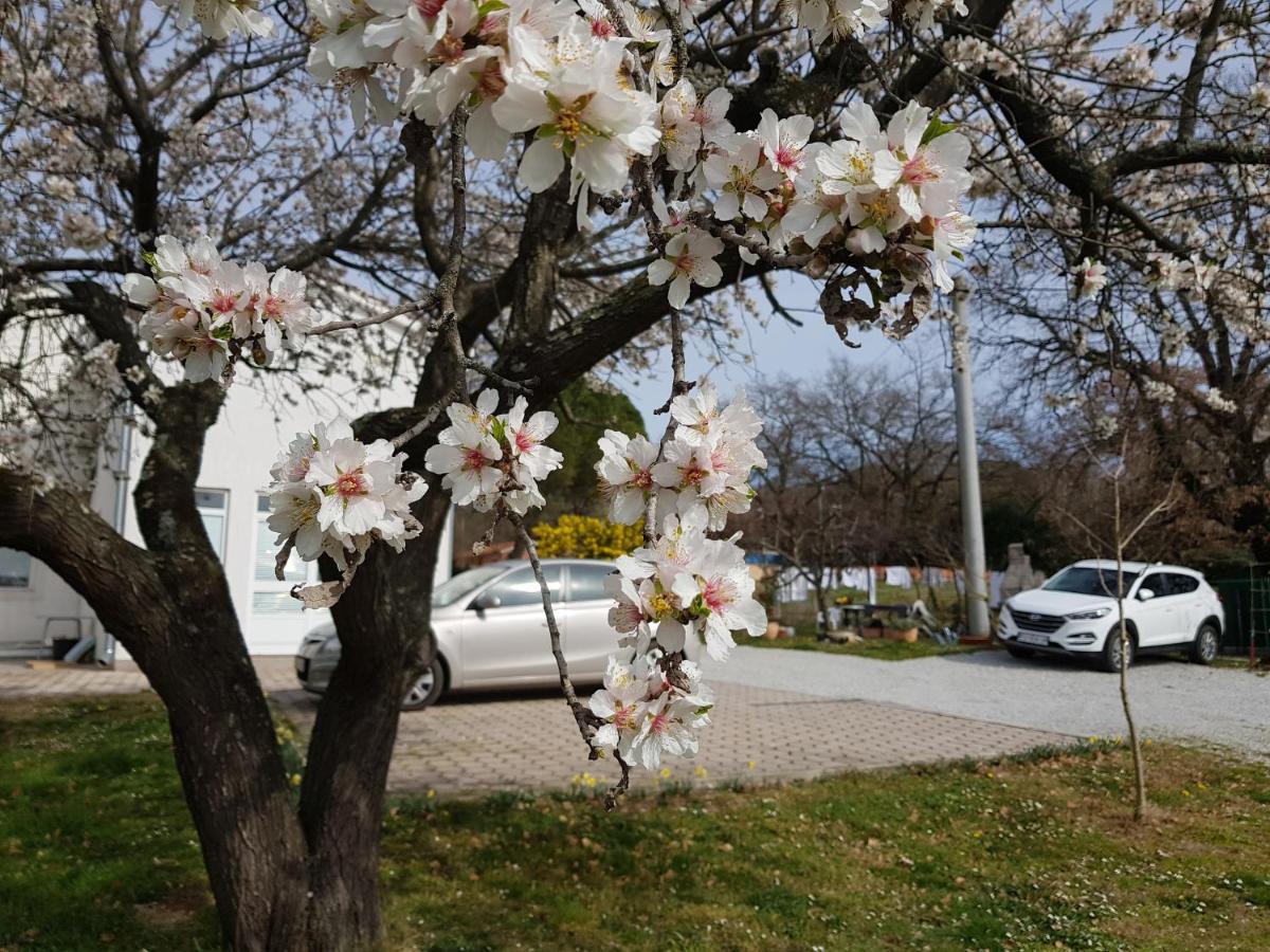 Rama Apartmán Porec